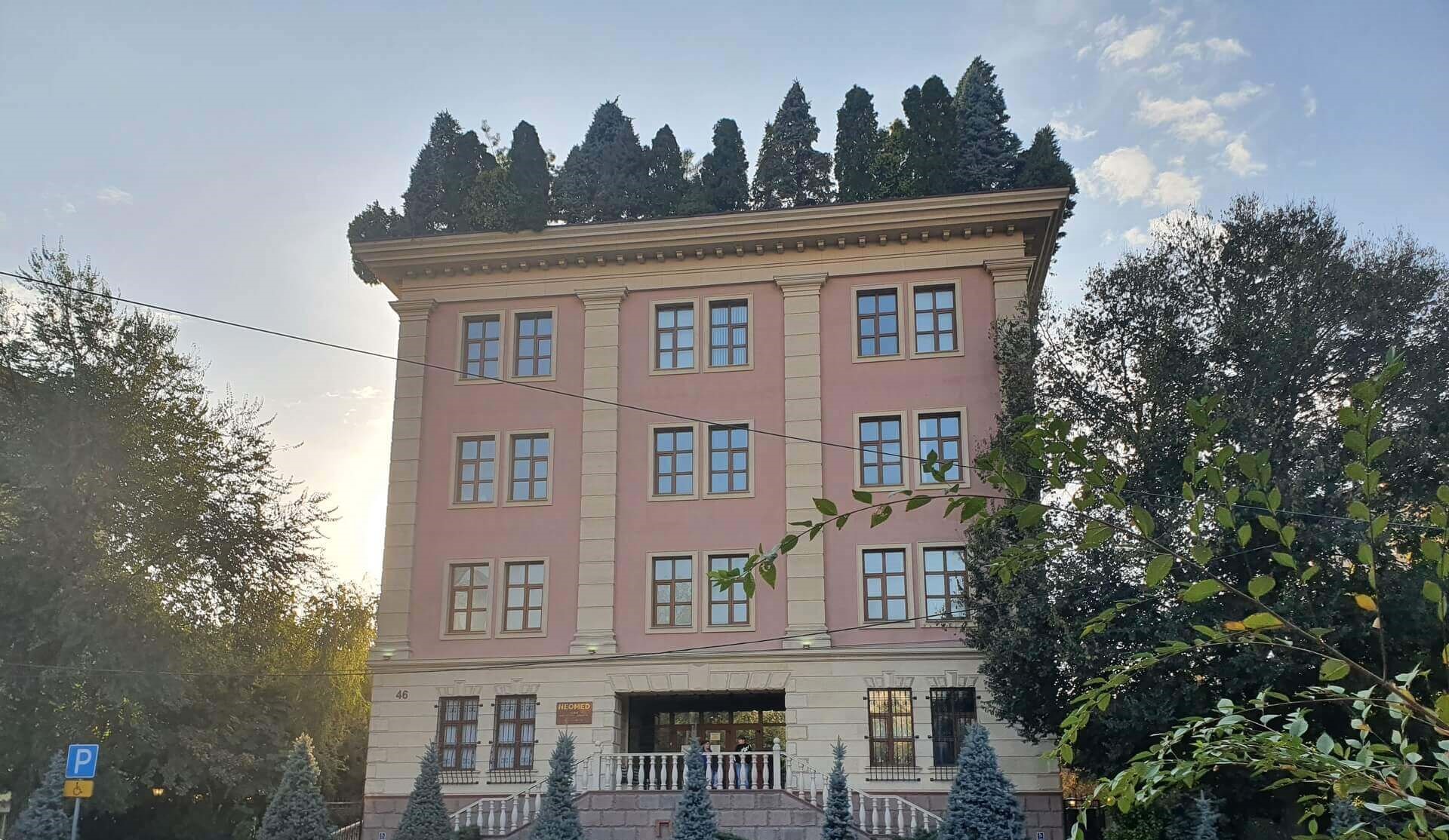 Зеленая крыша в Бишкеке