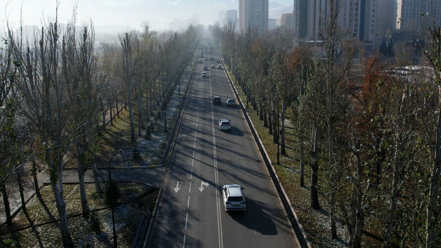 Тополя на проспекте Чингиза Айтматова