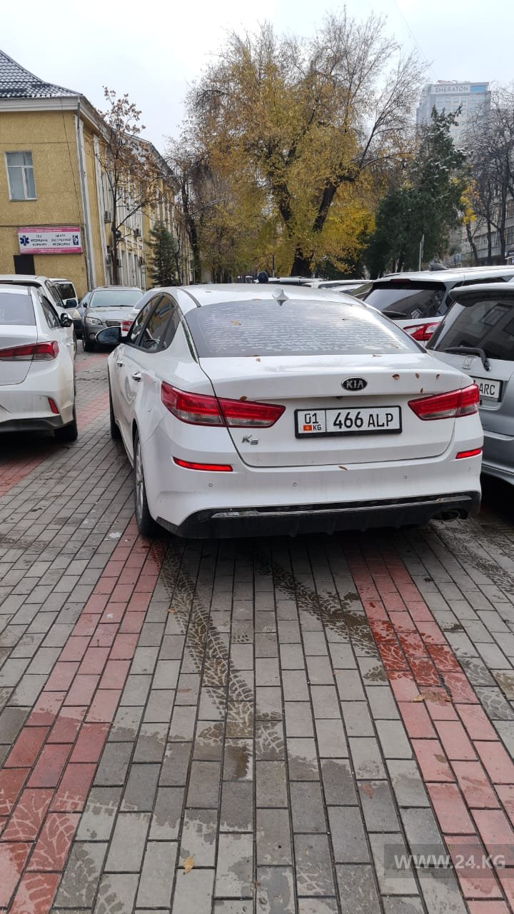 Чудаки парковки