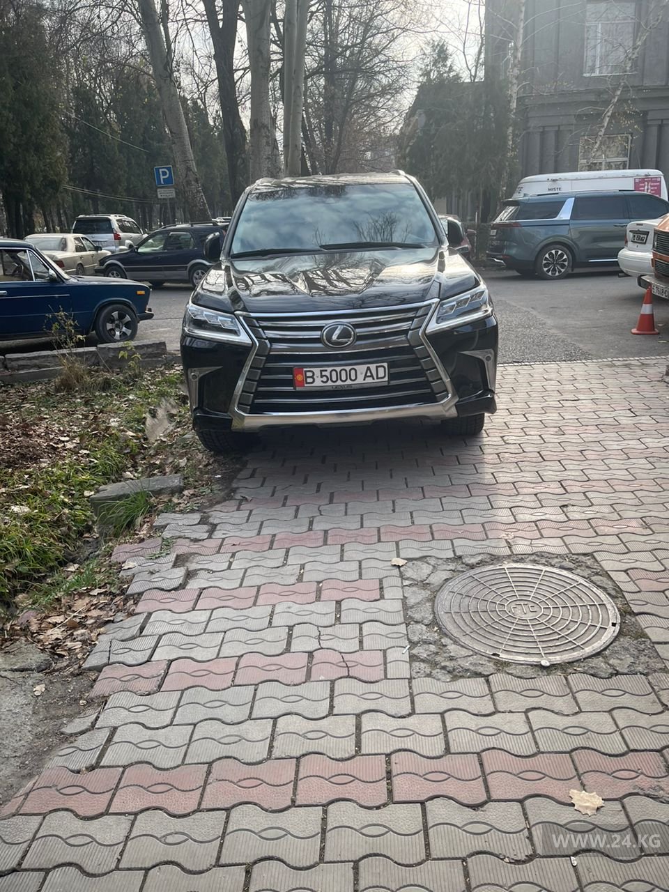 Чудаки парковки