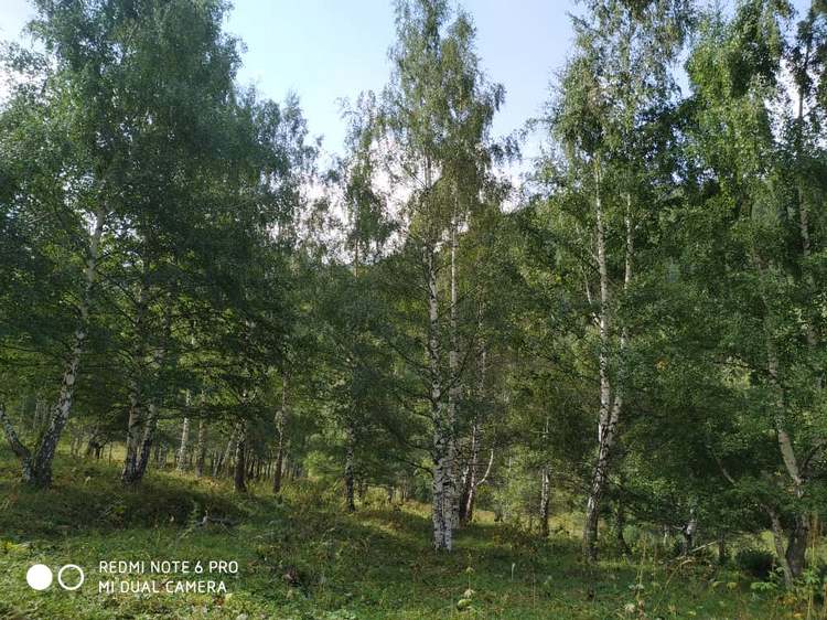 Чункурчак