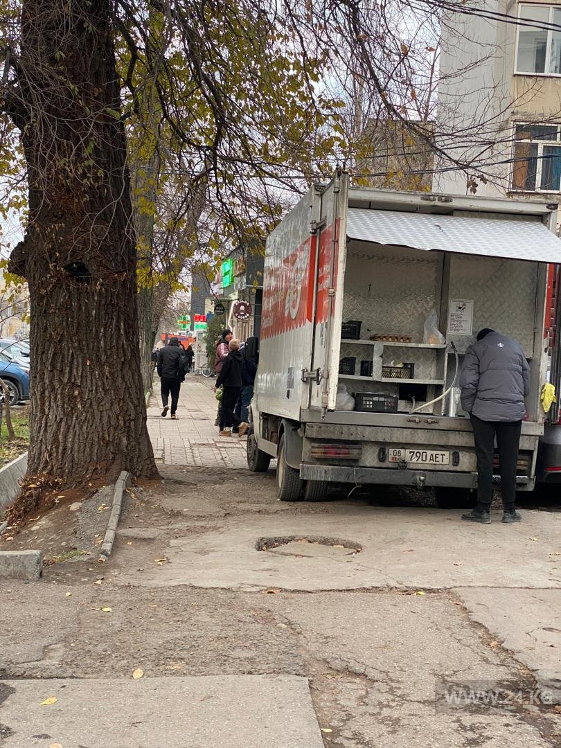 Чудаки парковки
