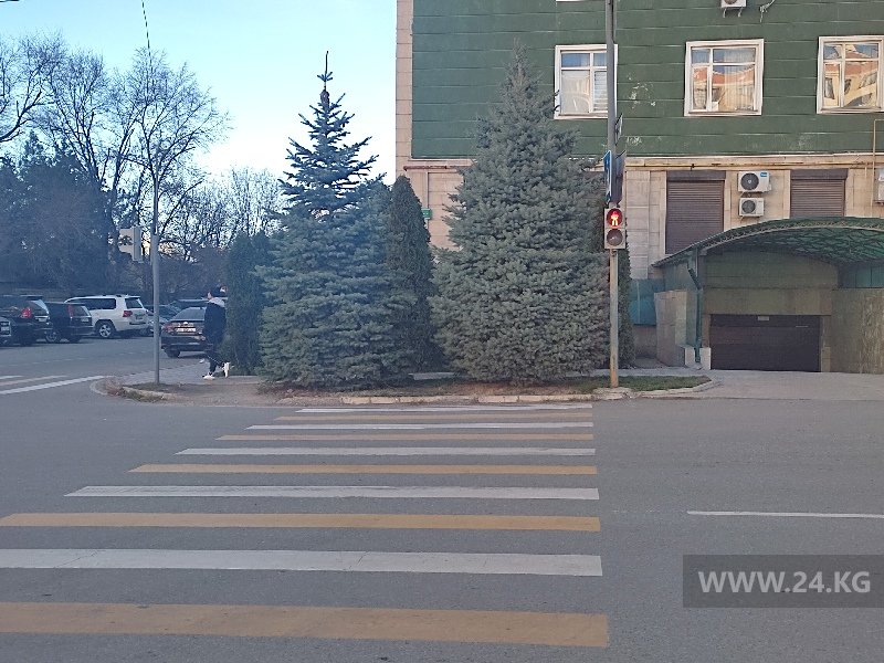 Пешеходный переход в Бишкеке
