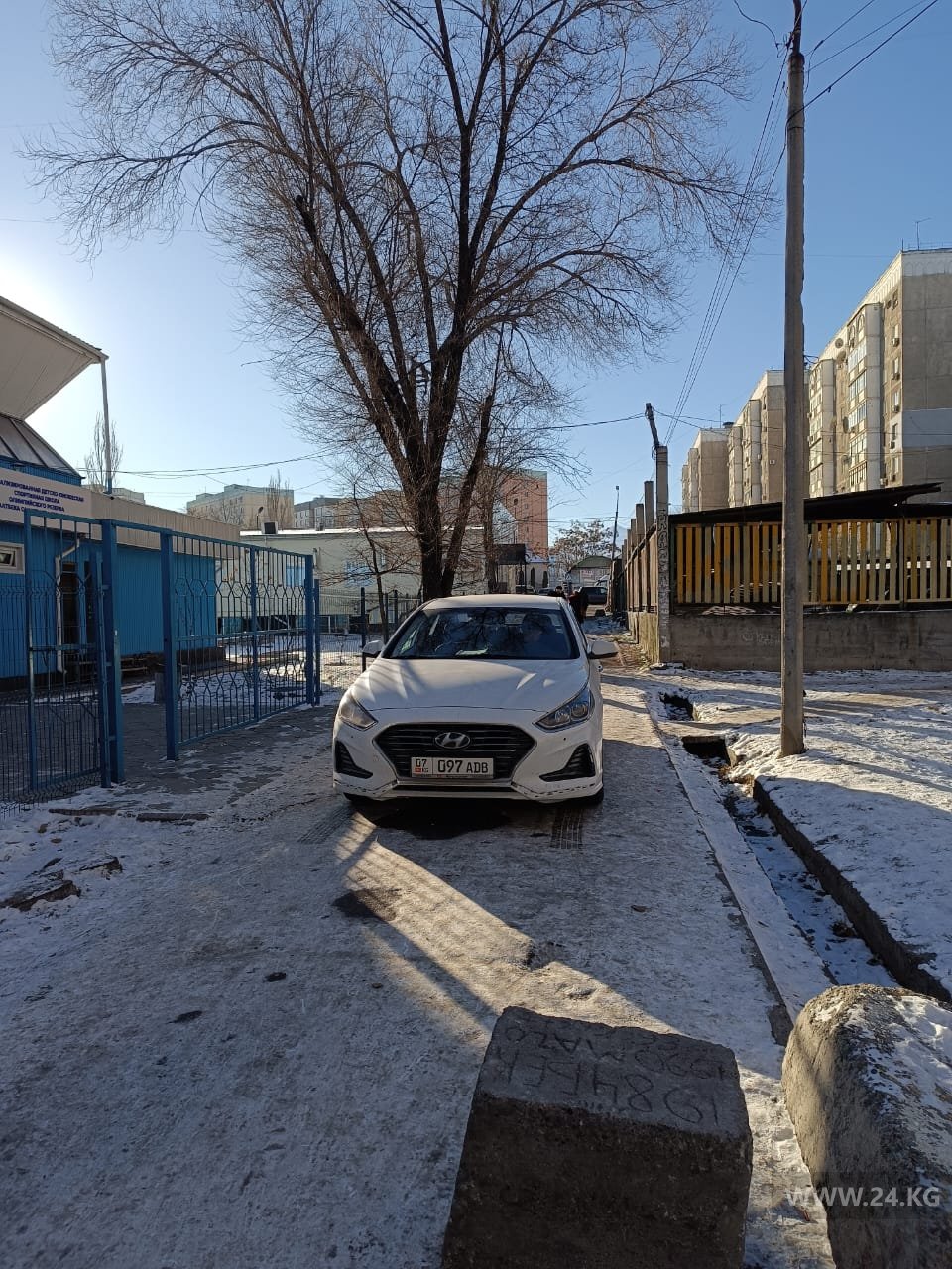 Чудаки парковки