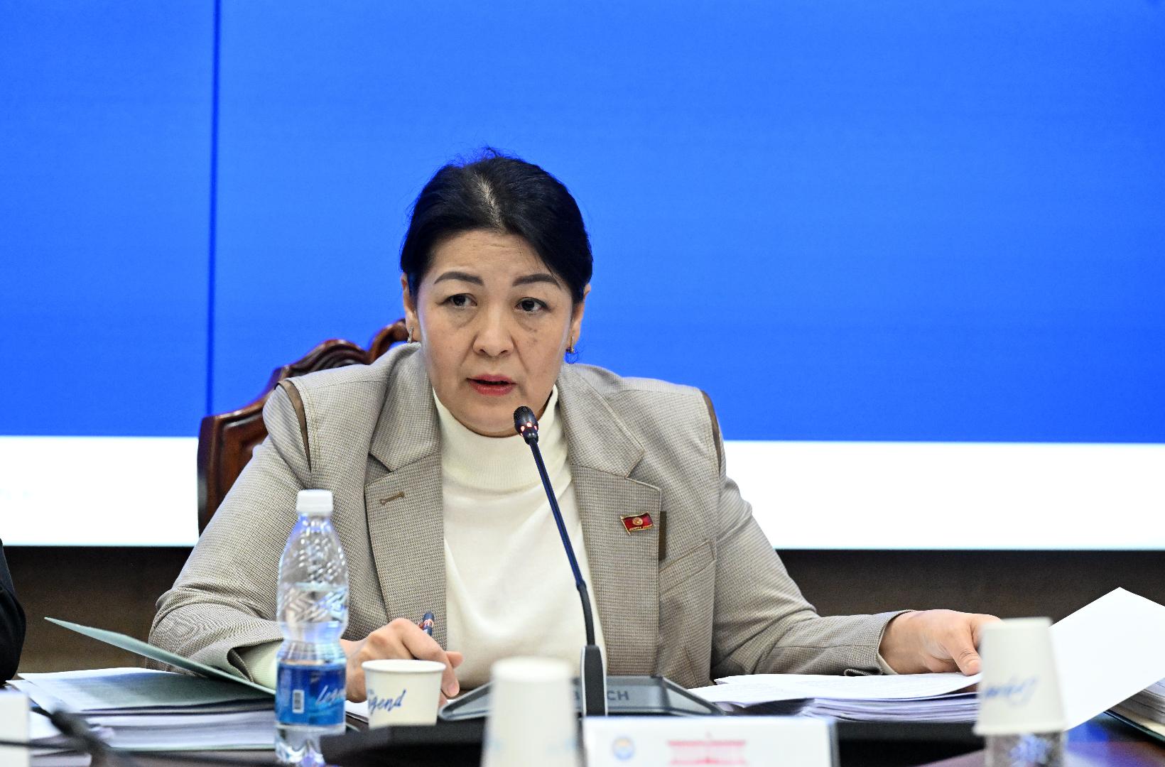Депутат Винера Раимбачаева