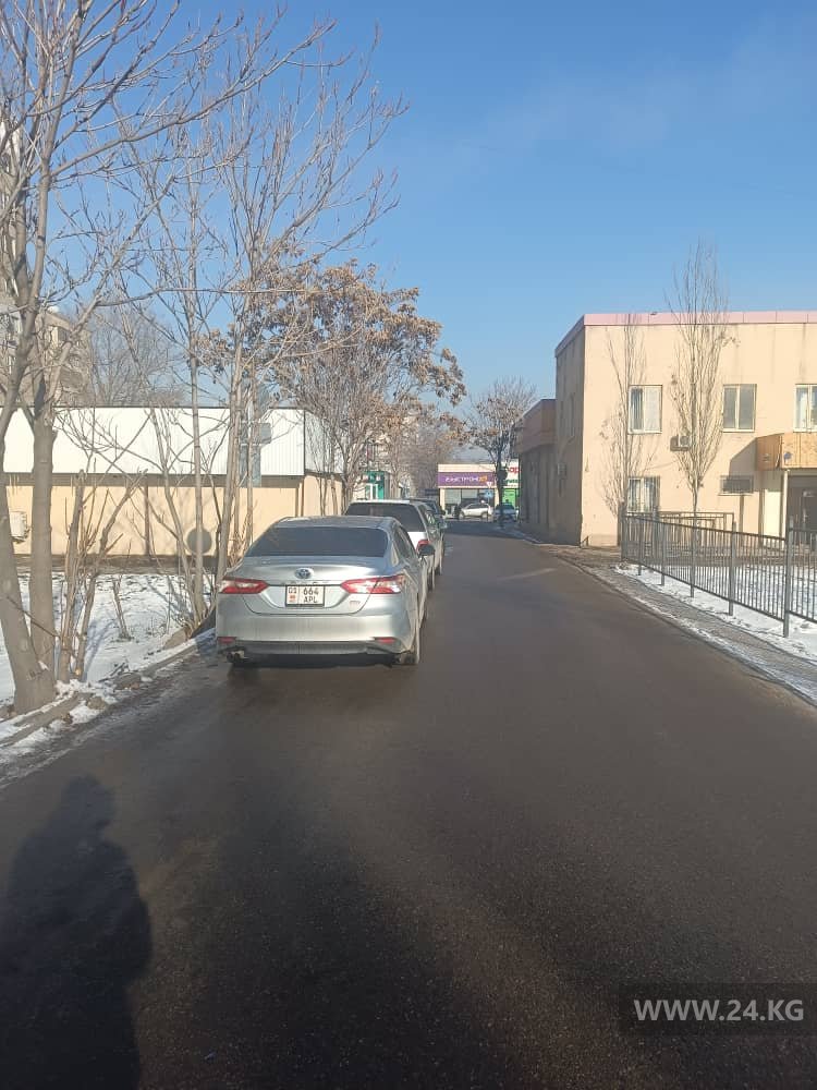 Чудаки парковки