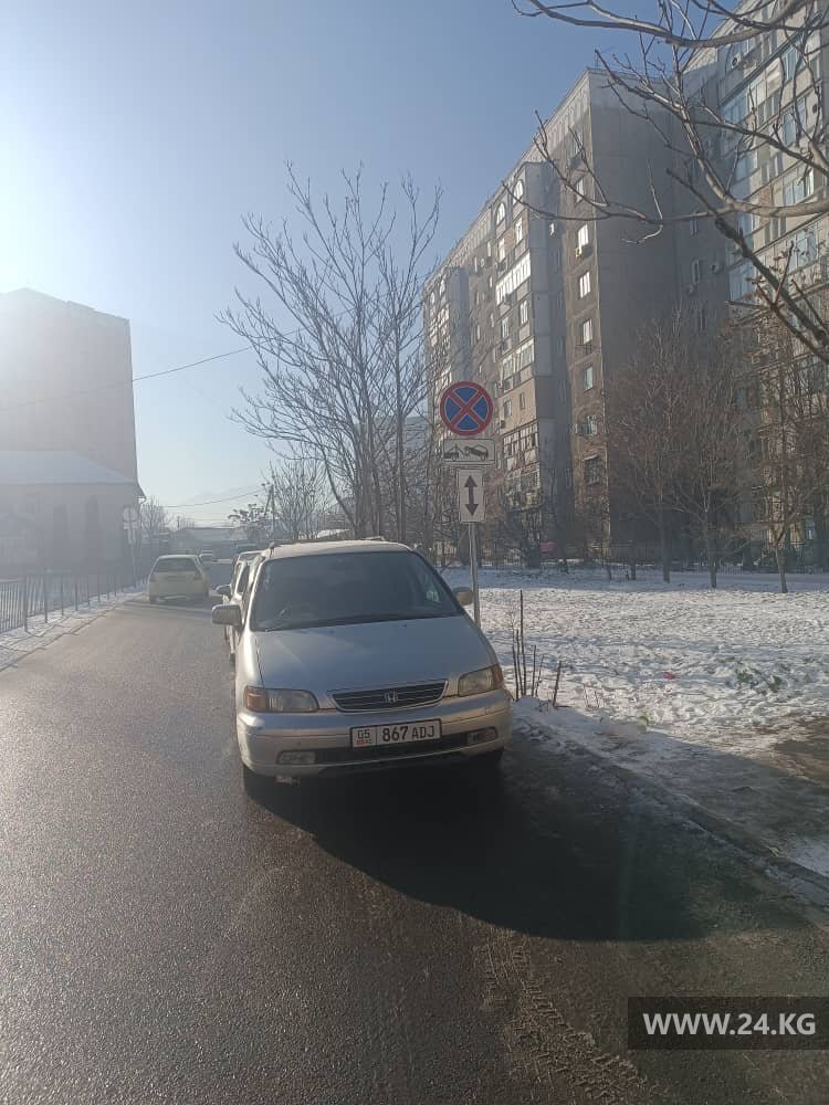 Чудаки парковки
