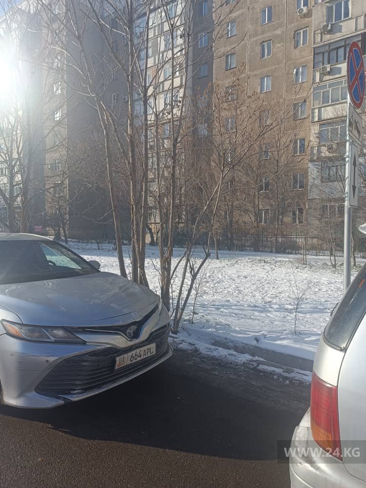 Чудаки парковки