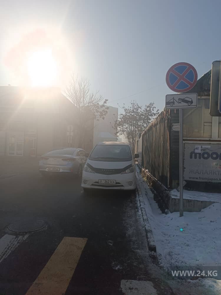 Чудаки парковки