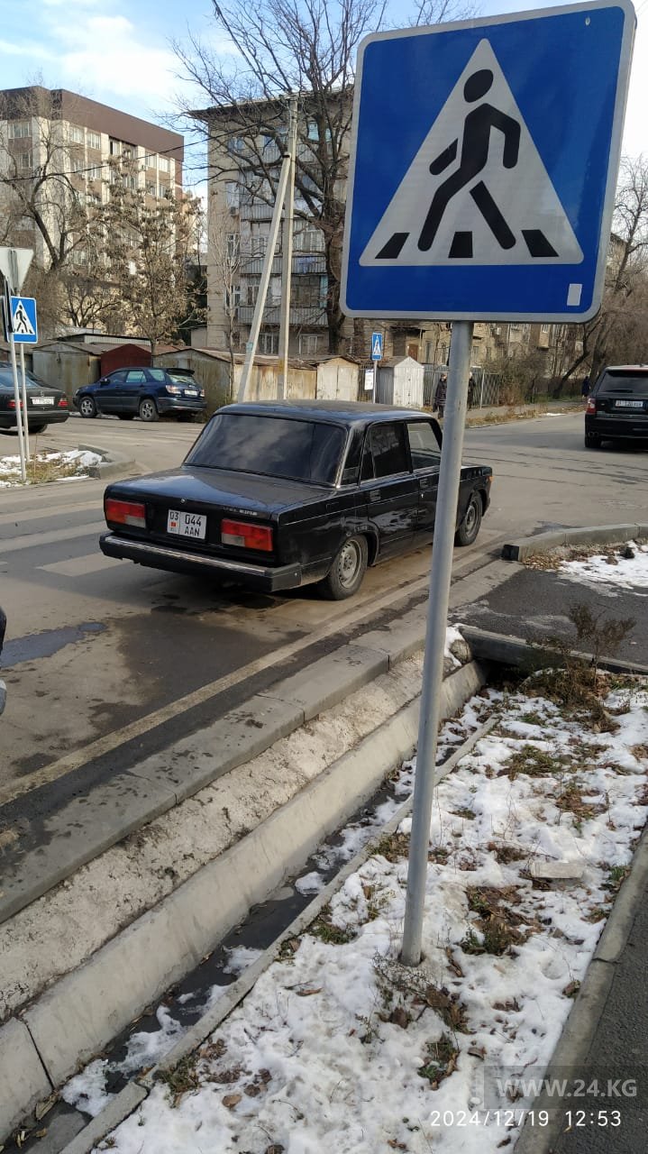 Чудаки парковки