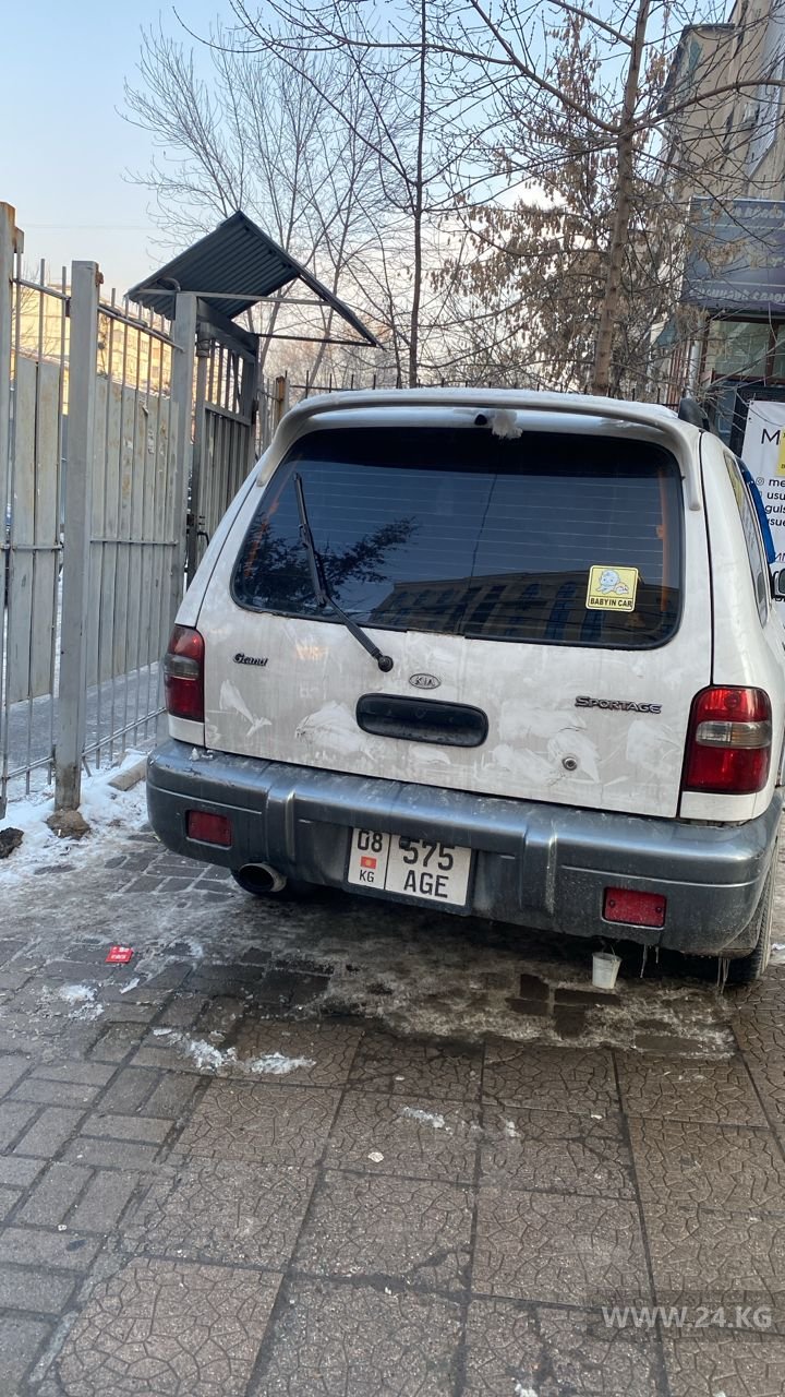 Чудаки парковки
