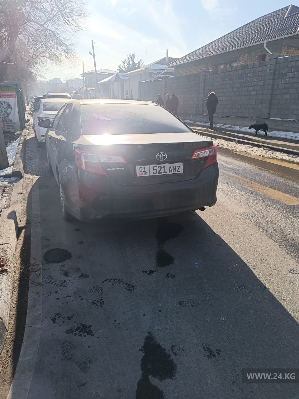 Чудаки парковки