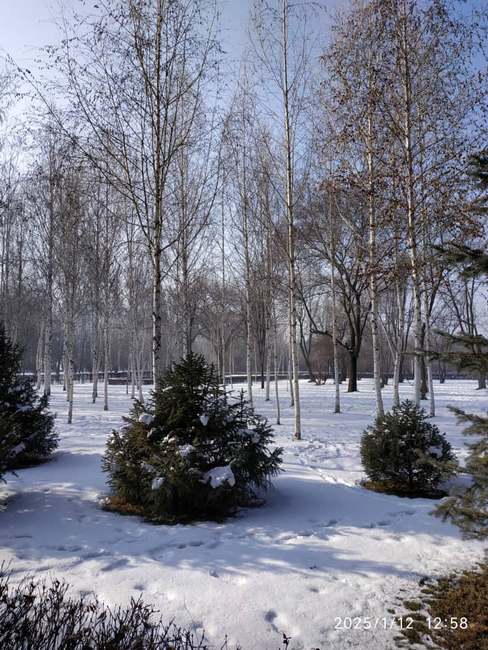 Зона отдыха под Бишкеком, 12 января