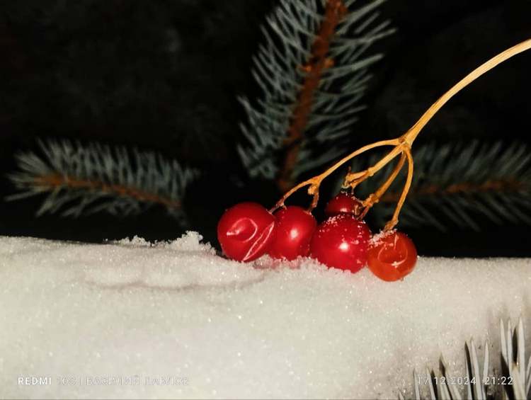 Село Кызыл-Суу, 17 декабря 2024 года