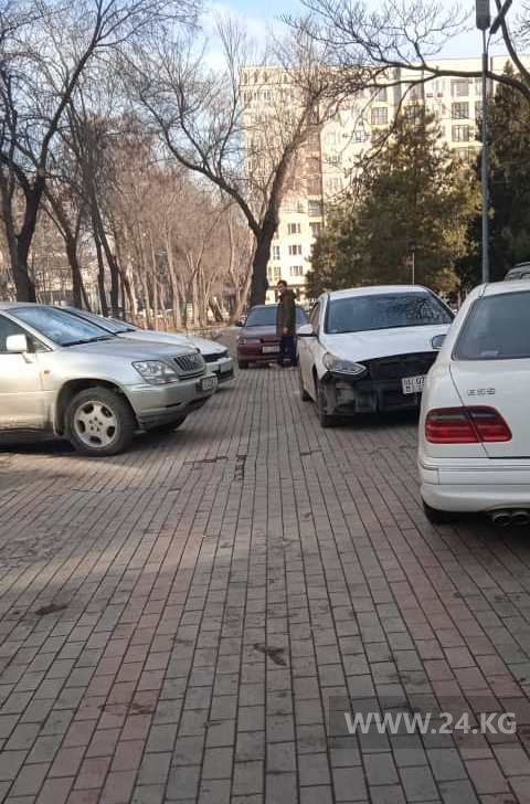 Чудаки парковки