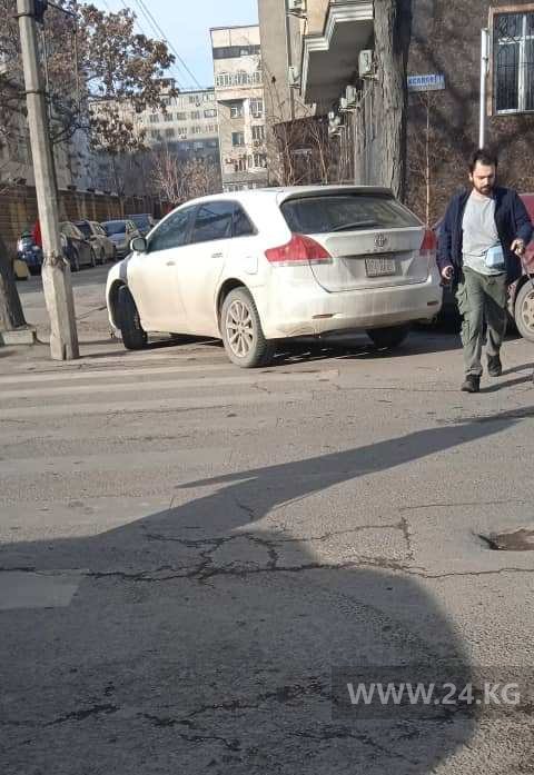 Чудаки парковки