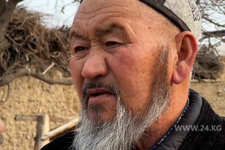 Алишер Жээнбеков, Баткен облусунун Кара-Бак айылынын Аксакалдар кеңешинин төрагасы