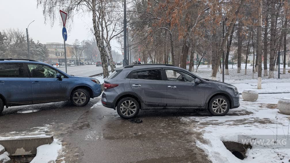 Чудаки парковки