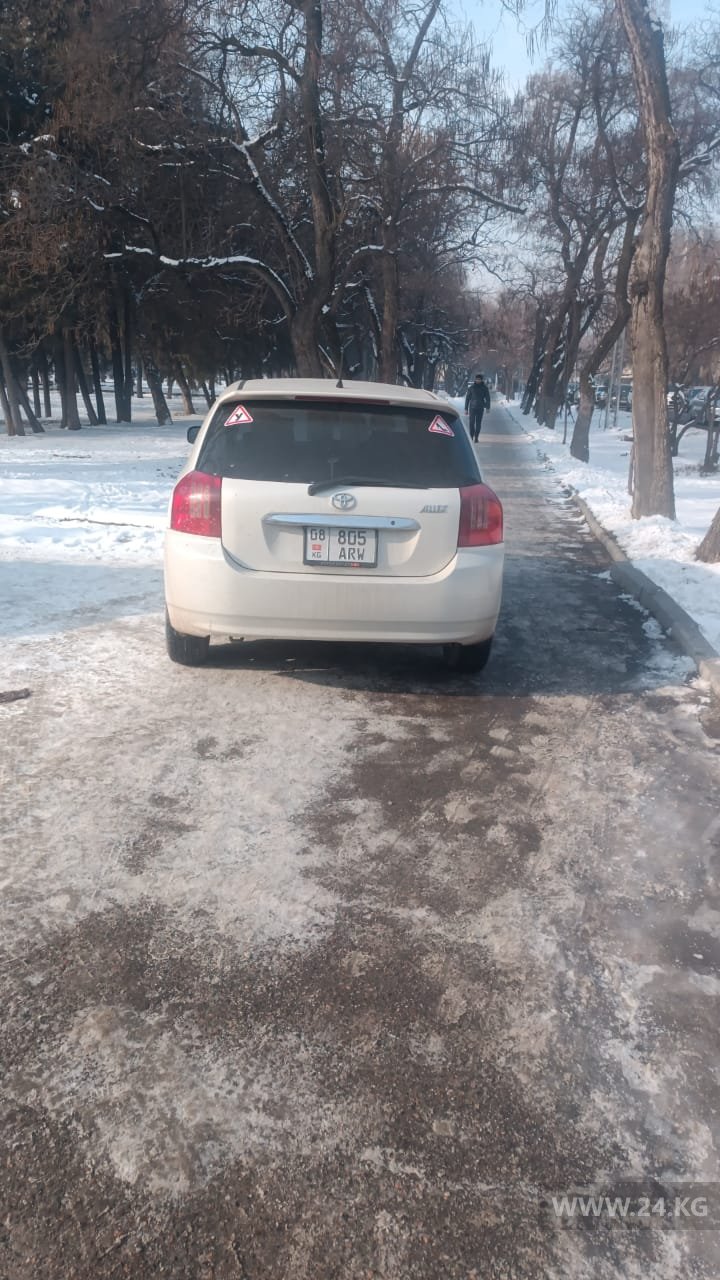 Чудаки парковки