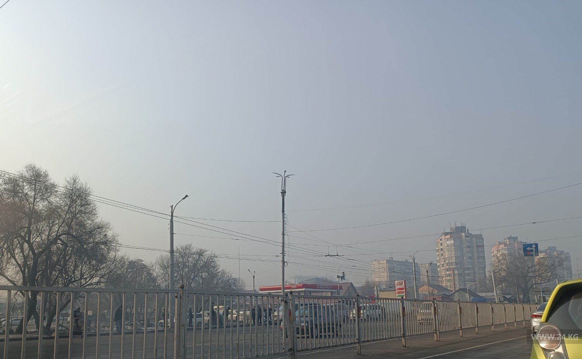 Чудаки парковки