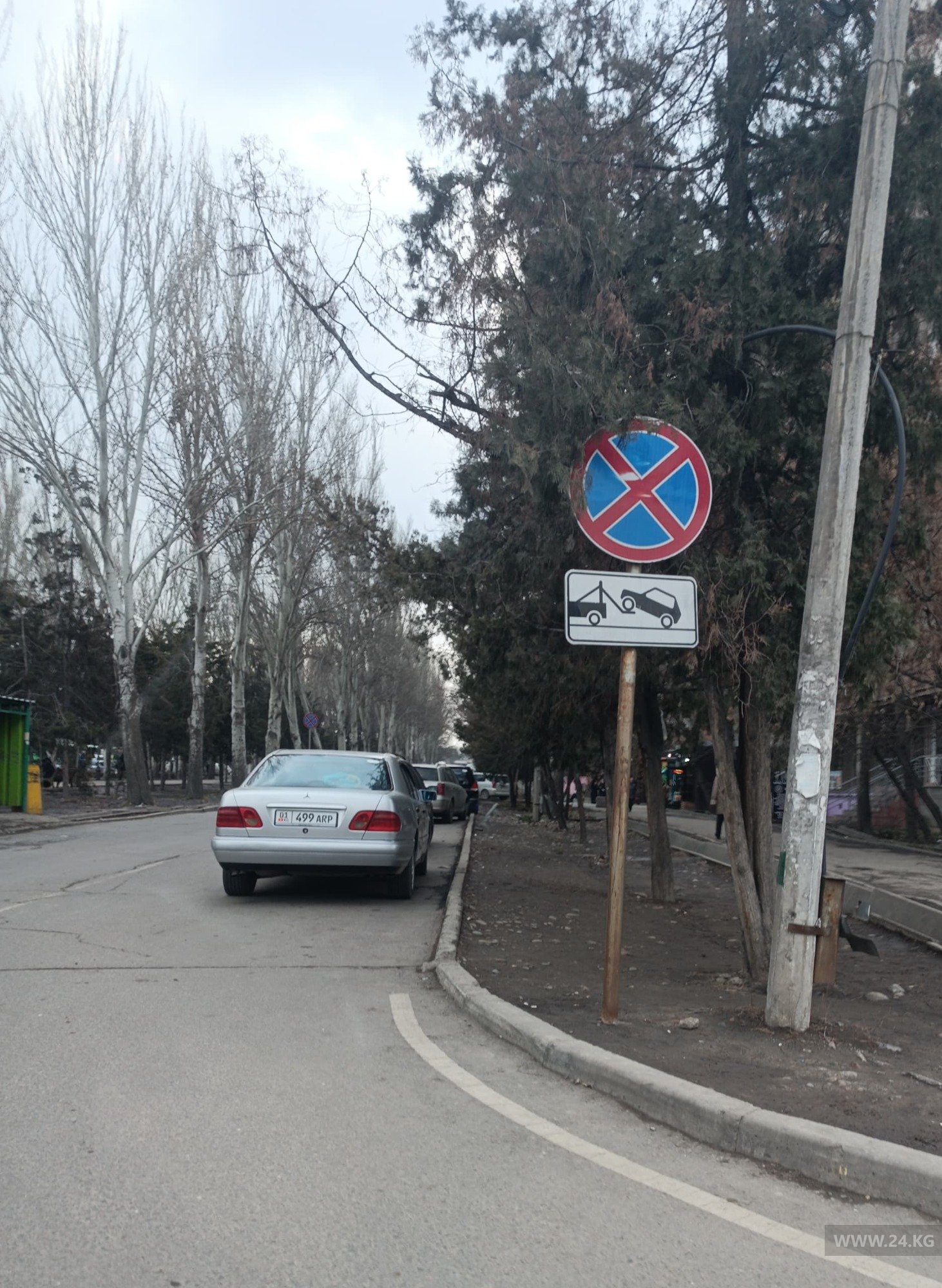 Чудаки парковки