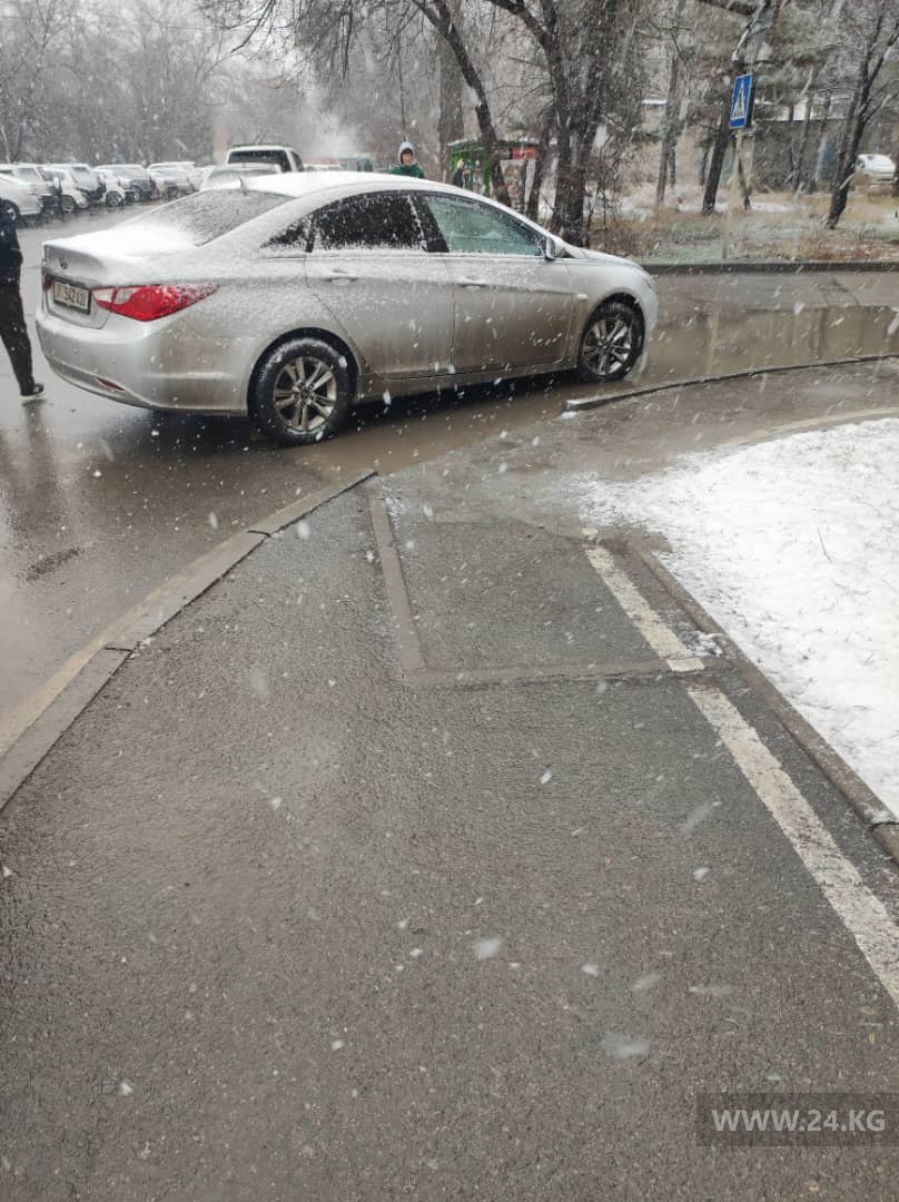 Чудаки парковки