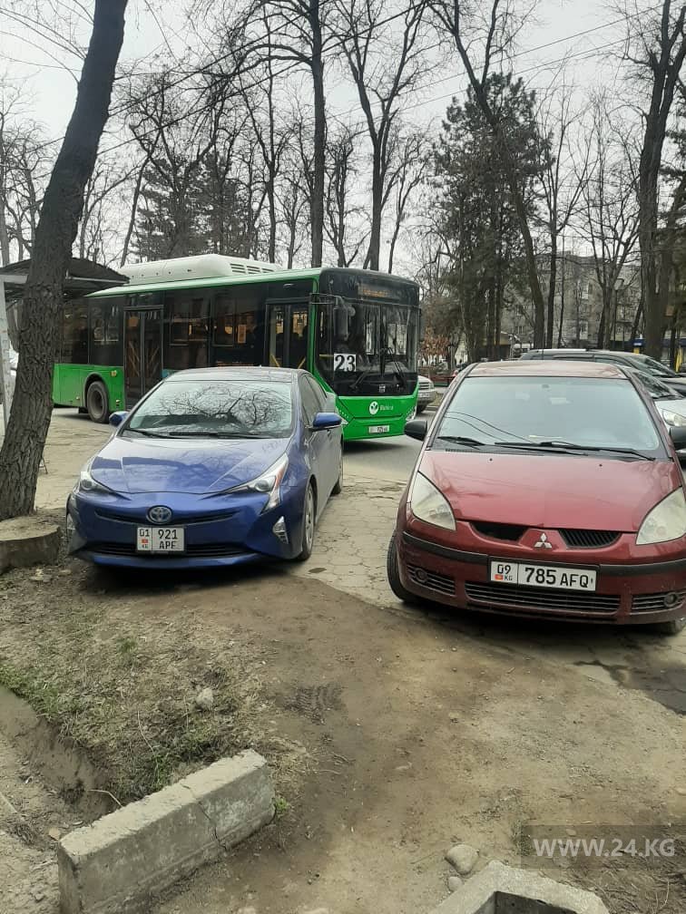 Чудаки парковки