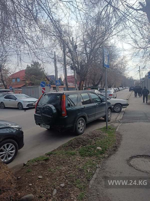 Чудаки парковки