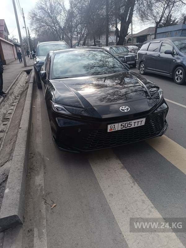 Чудаки парковки