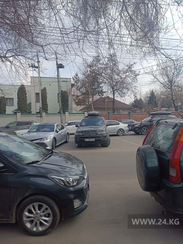 Чудаки парковки