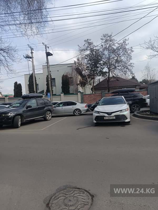 Чудаки парковки