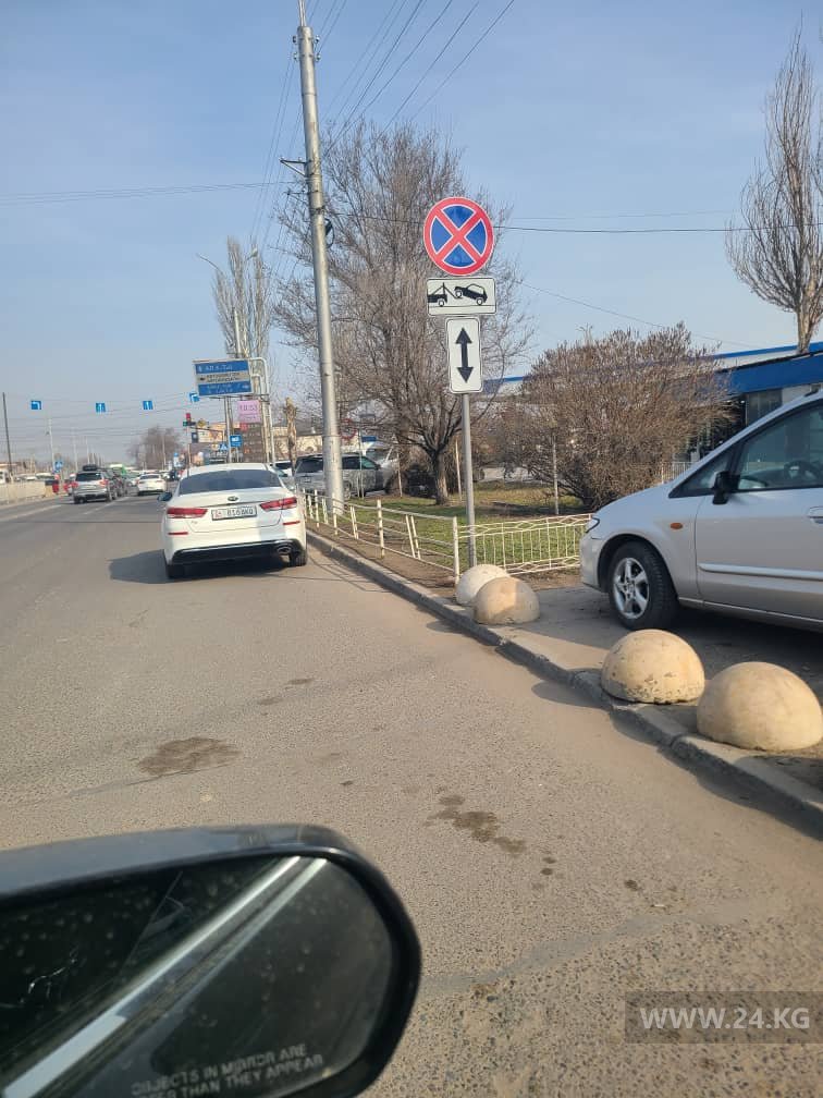 Чудаки парковки