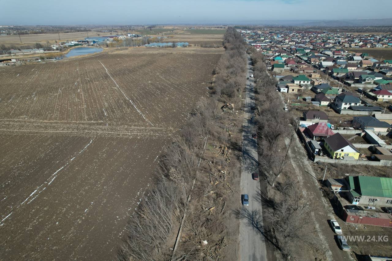 Реконструкция дороги от села Восток до объездной трассы