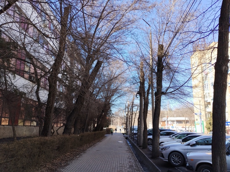 Бишкек, 10 марта