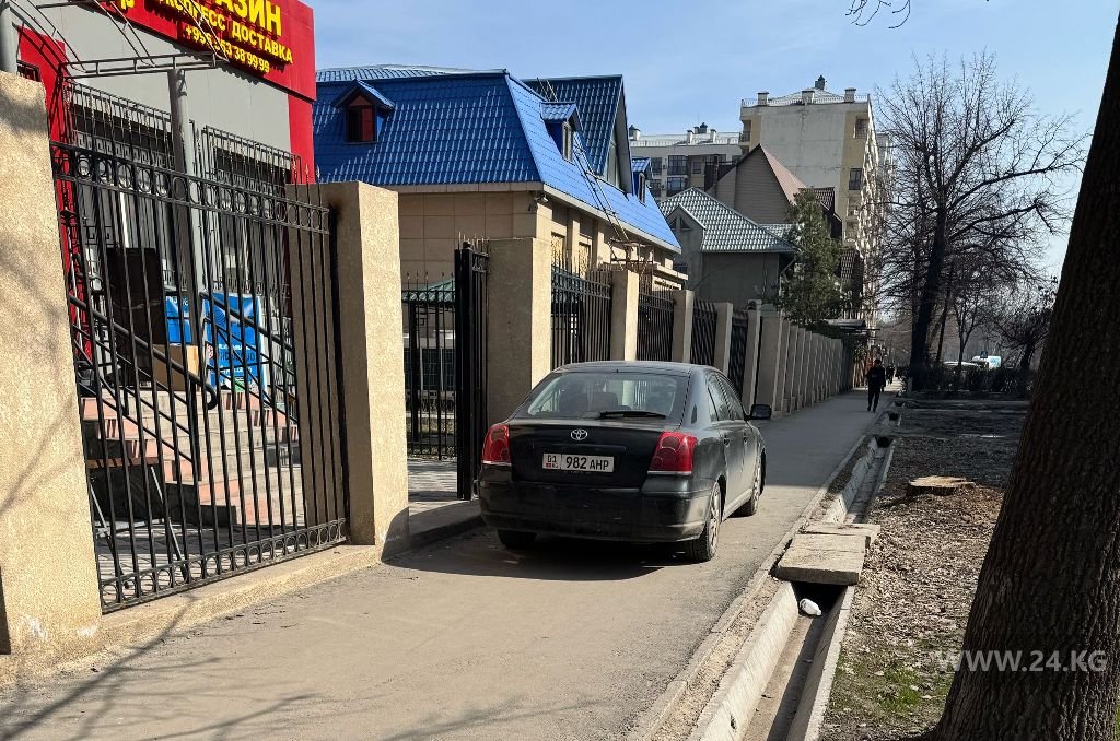 Чудаки парковки