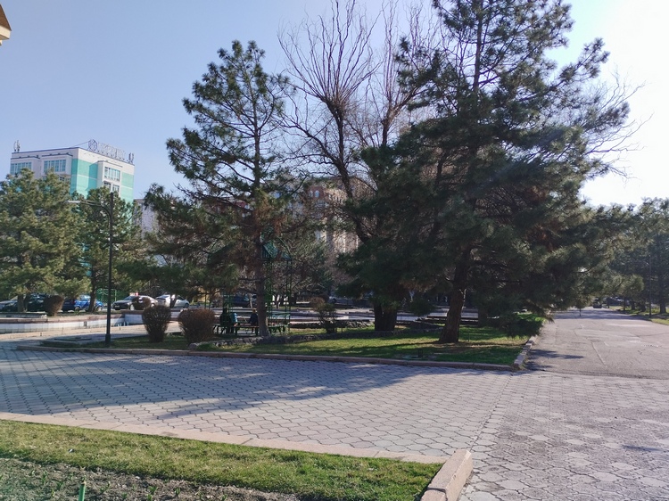 Бишкек, Аллея молодежи, 16 марта 2025 года