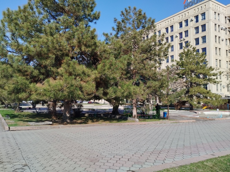 Бишкек, Аллея молодежи, 16 марта 2025 года