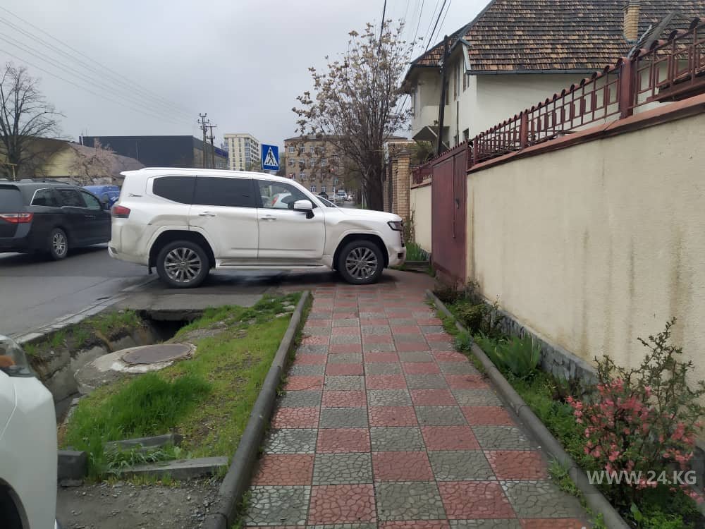 Чудаки парковки