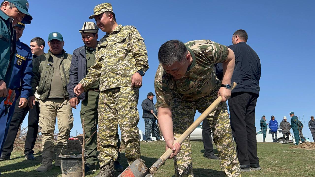 В Джалал-Абадской области стартовала масштабная кампания по озеленению