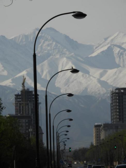 Птица любуется горами