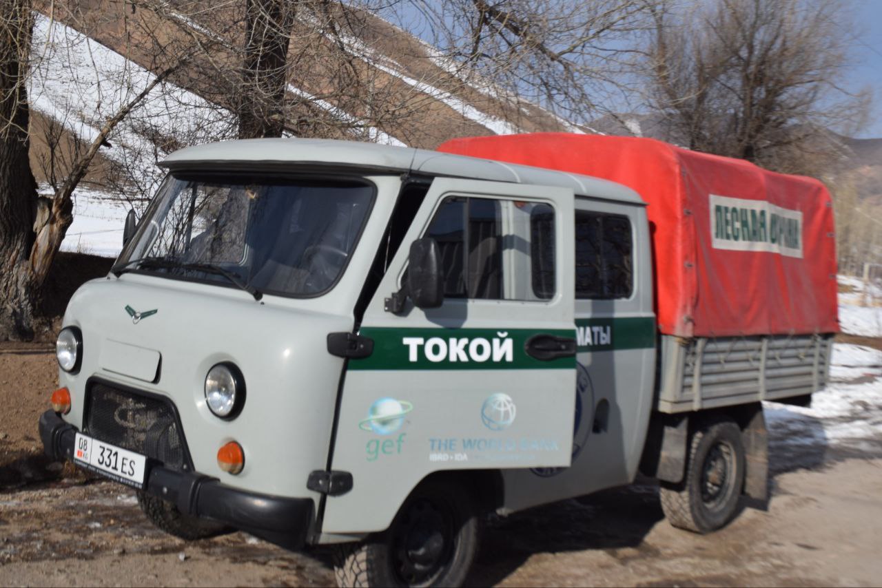 Работы на территории Кегетинского лесничества