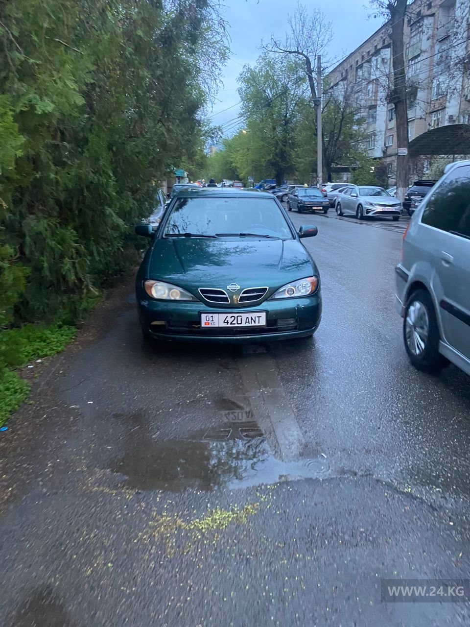 Чудаки парковки