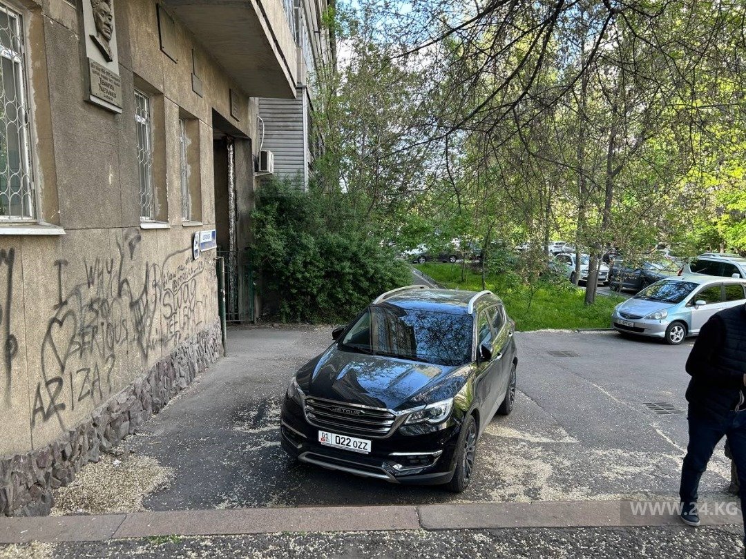 Чудаки парковки
