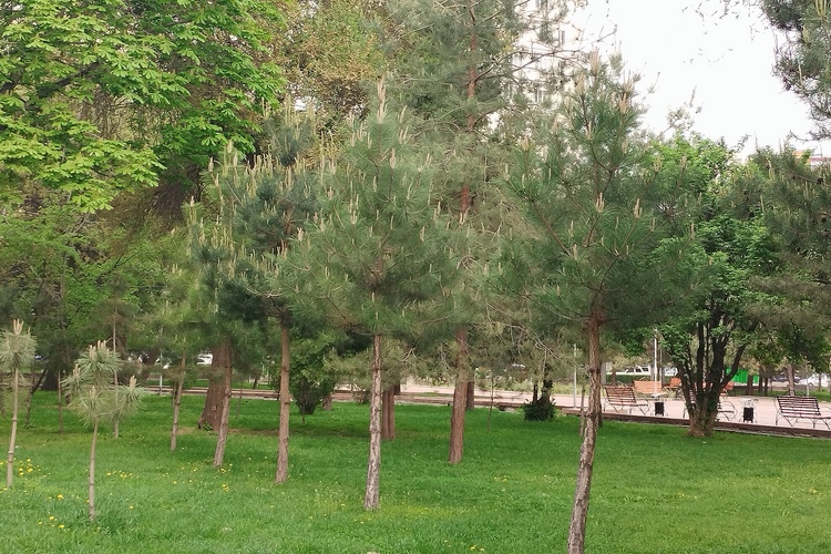 Бишкек, апрель