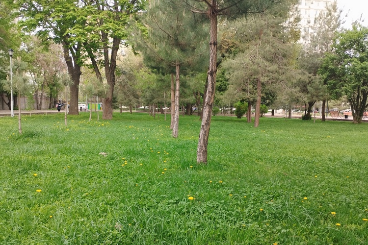 Бишкек, апрель