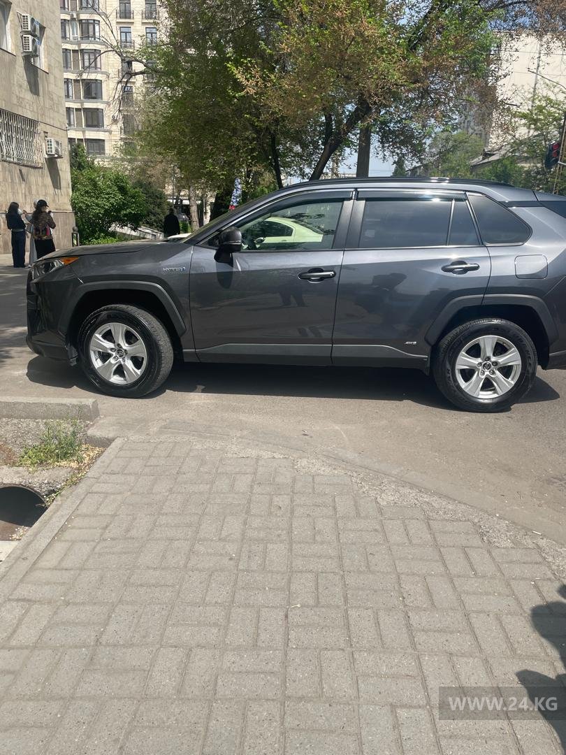 Чудаки парковки