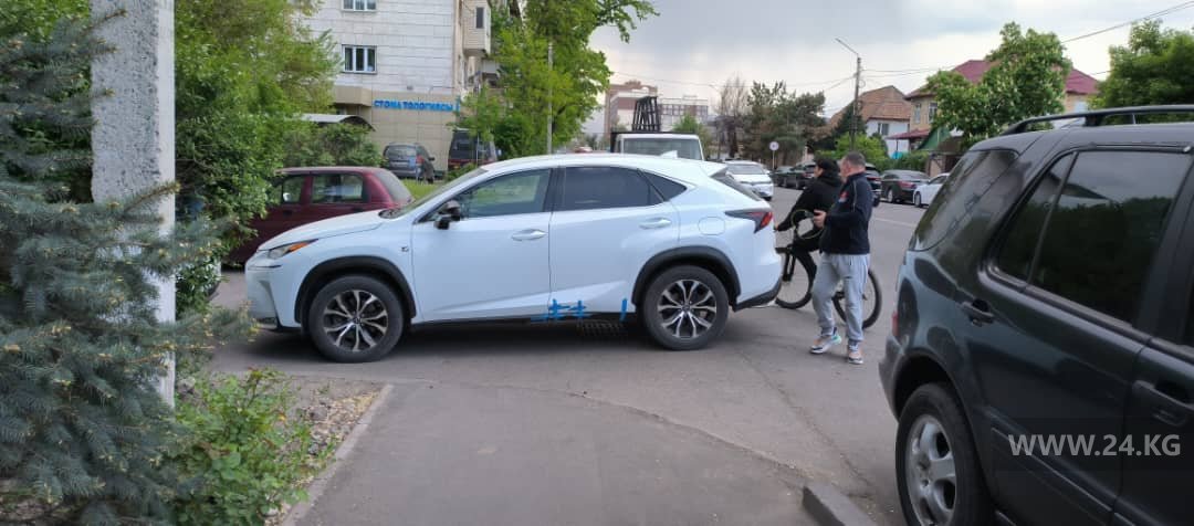 Чудаки парковки