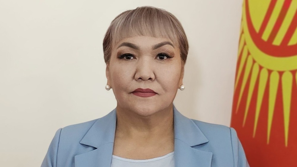 Назначен новый замминистра по цифровому развитию — Нургуль Аднаева
