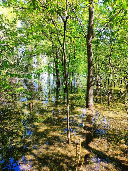 Ала-Арчинское водохранилище