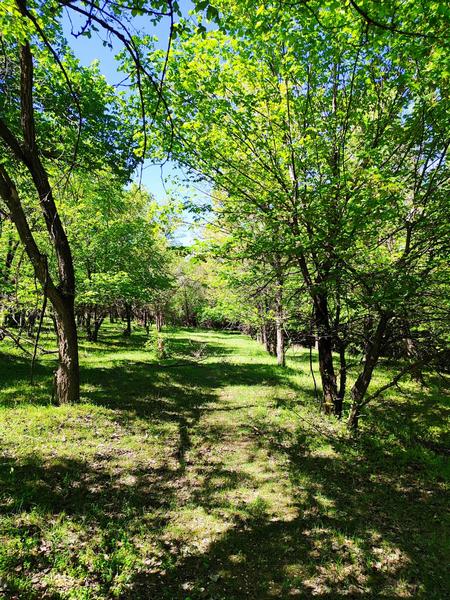 Ала-Арчинское водохранилище